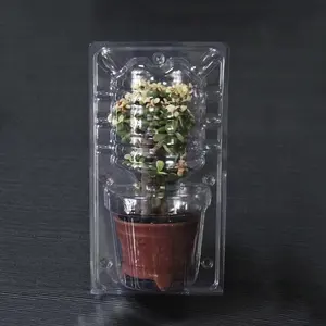 鉢植え植物用プラスチッククラムシェルボックス植物出荷用ブリスター梱包箱