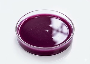 Fertilizante Líquido en Gel Concentrado Avanzado Soluble en Agua - Product Image 3