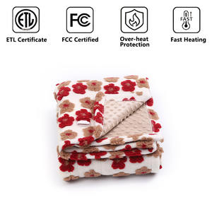 <span class=keywords><strong>Manta</strong></span> eléctrica de tela polar Coral, alfombra calentada, termostato, <span class=keywords><strong>manta</strong></span> de calefacción eléctrica, mantiene el calor - Product Image 2