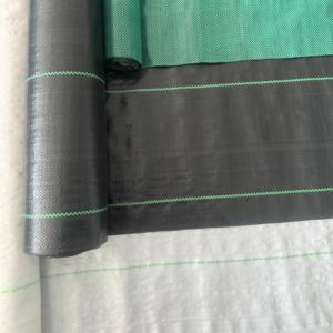 Toile de paillage anti-mauvaises herbes 100 g/m² pour fraises, géotextile en PP tissé, vente directe usine - Product Image 1