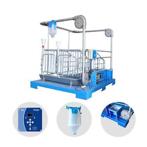 Cage de gestation confortable HENGYIN HY-AFS avec porte arrière pour porcs, matériau galvanisé à chaud, utilisation en élevage porcin - Product Image 2