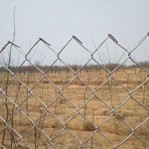 <span class=keywords><strong>Prix</strong></span> du grillage à mailles losangées au mètre carré pour les appels d'offres, grillage à mailles losangées galvanisé ou revêtu de PVC en gros - Product Image 1