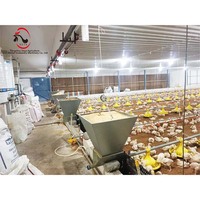 Système d'alimentation pour poulets de chair, mangeoire transparente à grande base pour poussins d'un jour, pour cage ou sol