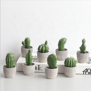 M-3212 Ins 11Cm Pot Sukulen Hijau Mini, Dekorasi Tanaman Kaktus - Product Image 1
