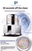 Machine commerciale automatique de plumeuse à volaille en acier inoxydable pour 3 oiseaux (poulet, canard, oie, caille) 220V