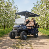 Voiturette de golf électrique 4 places, homologuée pour la route, 48V-72V, batterie lithium rose tout-terrain, certifiée CE, disponible pour les hôtels et les communautés