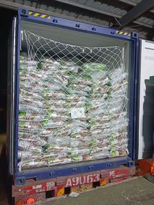 Science <span class=keywords><strong>croquettes</strong></span> nutrition complète aliments pour animaux <span class=keywords><strong>vente</strong></span> <span class=keywords><strong>en</strong></span> <span class=keywords><strong>gros</strong></span> fabricant <span class=keywords><strong>de</strong></span> <span class=keywords><strong>croquettes</strong></span> diététiques pour chiens tout pour animaux <span class=keywords><strong>de</strong></span> compagnie - Product Image 4