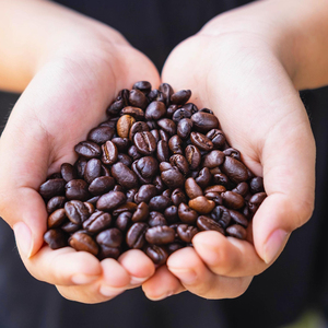 ขายส่งเมล็ดกาแฟอาราบิก้าคั่วเต็มเมล็ด 100% บริการติดฉลากส่วนตัว รับผลิตตามสั่ง กาแฟชนิดพิเศษจำนวนมาก - Product Image 1