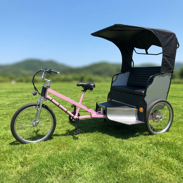 ESTER Battery Operated Electric Rickshaw China for Sale With UNTIE Rear Motor