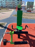 BOYUE Nuevo Diseño de Estación de Fitness Personalizable para Entrenamiento Físico y Muscular, Equipo de Fitness para Exteriores en Parques