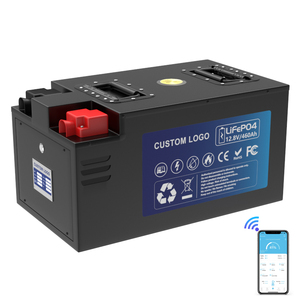 Baterai Lifepo4 12V 460ah untuk Camper Van, Baterai Lithium Ion 24V 100ah 200ah 300ah dengan Smart BMS untuk RV Motorhome (Stok EU) - Product Image 5