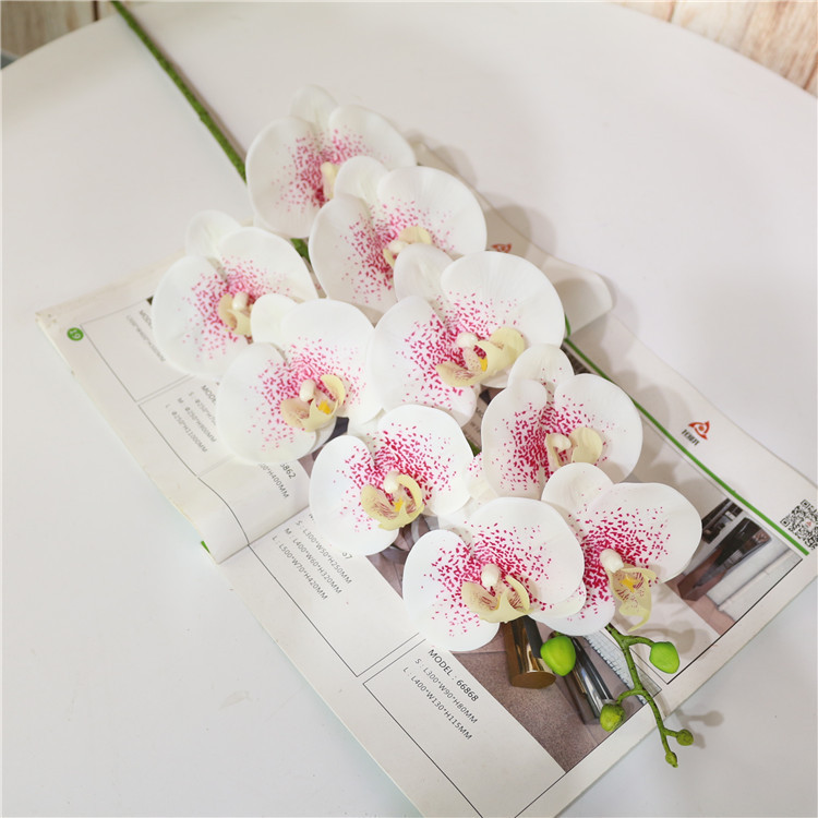 6 # blanc