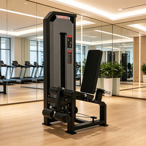 YLSY016GT500201 Máquina de Curl de Piernas Comercial para Gimnasio, Equipo de Musculación, Máquina de Extensión de Doble Función en Venta - Product Image 2