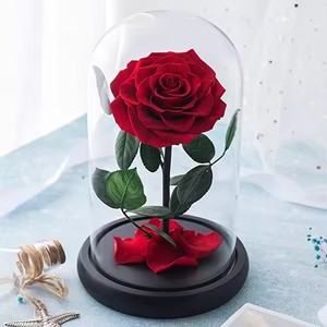 Regalo <span class=keywords><strong>de</strong></span> alta calidad, rosas preservadas en caja en cúpula <span class=keywords><strong>de</strong></span> cristal, Ideas creativas para regalos, <span class=keywords><strong>de</strong></span> la madre Día, Día <span class=keywords><strong>de</strong></span> <span class=keywords><strong>San</strong></span> Valentín, novia, esposa, regalo - Product Image 4