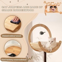 Mobilier moderne de luxe pour petit animal de compagnie arbre à chat grattoir poteau Faux rotin Espace Capsule Palmier Conception en bois Chat Maison Carton