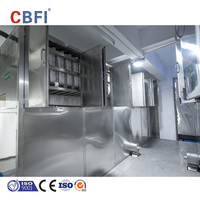 Machine à glaçons de 5000 kg/jour en acier inoxydable avec filtre à eau pour usine de glace comestible