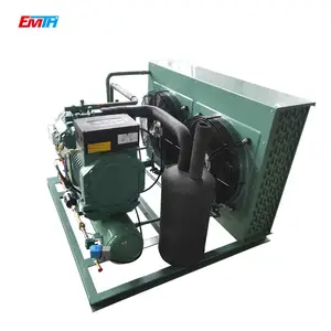 Unité de condensation à basse température de compresseur de défilement extérieur personnalisé par vente directe d'usine