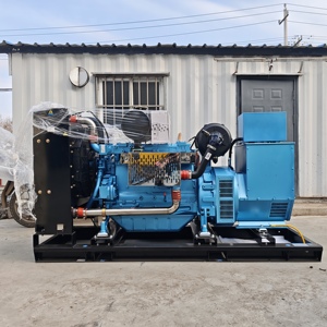 Groupe électrogène diesel silencieux Weichai 100kW 150kW 200kW 300kW avec ATS (transformation <span class=keywords><strong>automatique</strong></span>) pour usine et ferme - Product Image 1