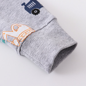 <span class=keywords><strong>Sweat</strong></span>-shirts à capuche pour garçons Boutique Vente chaude Vêtements pour enfants Impression personnalisée Motif Tenue décontractée pour l'hiver Enfants - Product Image 3