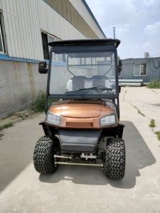 Carrito de Golf Eléctrico de 7-8 Plazas, 30-50 km/h, Autonomía de 50-70 km, Precio Bajo de Fábrica, Alta Calidad - Product Image 3