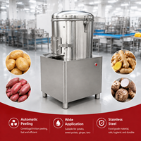 Machine à éplucher les pommes de terre industrielle, capacité 10-30 kg, éplucheur électrique en acier inoxydable pour légumes-racines, patates douces, gingembre, aliments