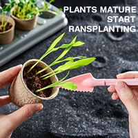 Kit scientifique de culture de plantes spatiales DIY, artisanat sensoriel pour grossistes de jouets, assortiment pour magasins familiaux, catalogue de revente mondial