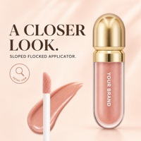 Gloss à lèvres bio en tube, effet miroir, repulpant, aspect naturel, ellipse or et argent