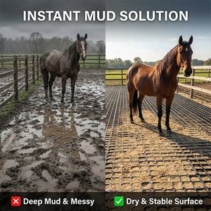 新型環境対応<span class=keywords><strong>HDPE</strong></span>プラスチック製馬用パドックグリッド排水斜面地盤補強グリッド - Product Image 3