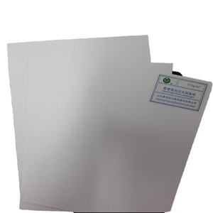 Papier d'art Aigle des neiges pour impression et emballage - Product Image 1