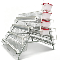 Cage à poules pondeuses de type A, cage de batterie avicole automatique avec abreuvoir à tétine galvanisé