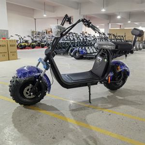 1000W <span class=keywords><strong>Trike</strong></span> dérive vélo de poche <span class=keywords><strong>électrique</strong></span> Mini enfants voiture 2 roues motos - Product Image 6