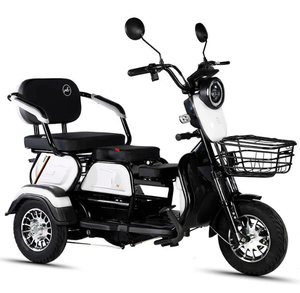Tricycle électrique fiable de 600 W alimenté par des batteries au plomb-acide, idéal pour les trajets familiaux et le transport de passagers. - Product Image 2