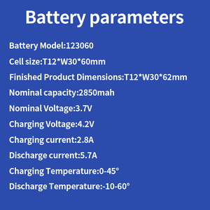 Custom 123060 <b>3.7V</b> 2850mAh LiPo <b>Battery</b> Pack for IoT Device Portable Electronics - Product Image 3