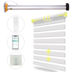 Raex Tubular <strong>Motor</strong> TQL25 Modern <strong>Roller</strong> <strong>Motor</strong> Light Grey Electric <strong>Roller</strong> Blind <strong>Motor</strong> Motorized <strong>Roller</strong> Blinds - Product Image 1