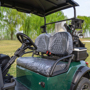 Carrito de Golf de 2 Plazas a Precio Mayorista, con Color y Logotipo Personalizados, para Atracciones Turísticas, Campus y Parques, Diseño Premium de Alta Gama - Product Image 5