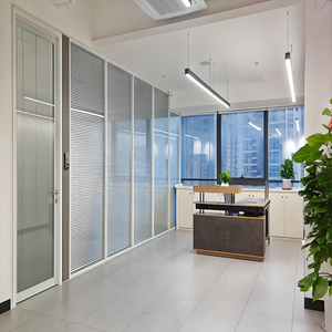 Tùy chỉnh kính văn phòng phân vùng hệ thống tường với khung nhôm và giảm tiếng ồn Rèm phân chia Nội Thất Tường - Product Image 2