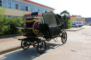Véhicule de transport électrique à faible bruit et longue autonomie pour villas de villégiature, type calèche à chevaux - Product Image 1
