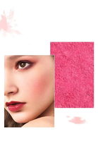 Personnaliser Logo Visage Maquillage logo marque unique végétalien surligneur bronzant contour maquillage poudre libre blush maquillage blush privatbel