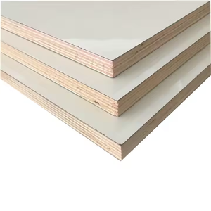 Contrachapado Laminado HPL de Alta Presión Moderno, Fenólico de Alta Calidad con Revestimiento de Chapa de Abedul - Product Image 1