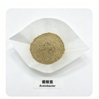 Poudre de culture de démarrage Acetobacter 10 milliards UFC/g, durée de conservation de 12 mois, sacs kraft de 25 kg avec doublure imperméable pour l'acide acétique