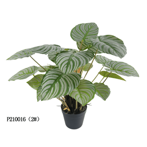 Senmasine <span class=keywords><strong>ต้น</strong></span><span class=keywords><strong>ป</strong></span>าล์ม<span class=keywords><strong>ป</strong></span><span class=keywords><strong>ล</strong></span>อม60ซม. 21หัวห<span class=keywords><strong>ล</strong></span>ายรูปแบบ, <span class=keywords><strong>ต้น</strong></span><span class=keywords><strong>ป</strong></span>าล์มเทียมเขียวชอุ่มต<span class=keywords><strong>ล</strong></span>อดปี<span class=keywords><strong>ต้น</strong></span><span class=keywords><strong>แอ</strong></span><span class=keywords><strong>ป</strong></span><span class=keywords><strong>เปิ้</strong></span><span class=keywords><strong>ล</strong></span> Spathiphyllum taro Leaf <span class=keywords><strong>ป</strong></span><span class=keywords><strong>ล</strong></span>อม - Product Image 2