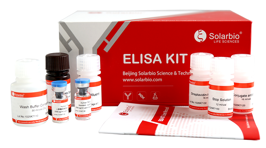 Glutathione (GSSG) Content Assay Kit - Solarbio Research