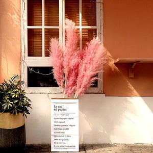 Graines de pampas rose vif, super grandes et longues, à plumes moelleuses, naturelles et séchées, pour mariage, fête des mères, remise de diplôme - Product Image 3