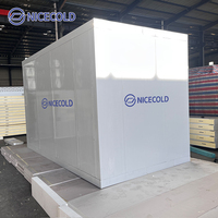 Chambre froide et chambre de congélation commerciale à grande capacité NICECOLD pour les projets de stockage frigorifique