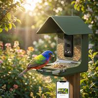 Caméra de mangeoire à oiseaux intelligente avec capteur 4K 8MP, identification des oiseaux par IA et vision nocturne couleur, batterie rechargeable 10000mAh, étanche IP66