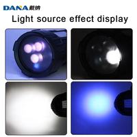 Lampe d'inspection UV portable professionnelle 365nm LED pour détection de fissures de surface NDT et détection de défauts vidéo industrielle