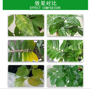 Sulfato de Amonio de Grado Agrícola y Alimentario, Venta Directa de Fábrica, Alta Pureza, Alta Calidad, Granulado Cristalino - Product Image 5