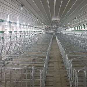 Piggery Designed Raising Equipment for Pig Farm