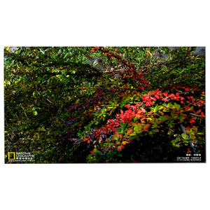 LM238WF5-SSE5 Masaüstü Monitör TFT LCD 23.8 İnç FHD 1920x1080 Düşük Fiyatlı Ekran - Product Image 1