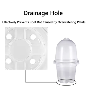 3,5 "4" 5 "6" 7,6 "Zoll PET Garten pflanze Transparente Töpfe Gartens amen becher Kindergarten töpfe mit Feuchtigkeit kuppeln - Product Image 6